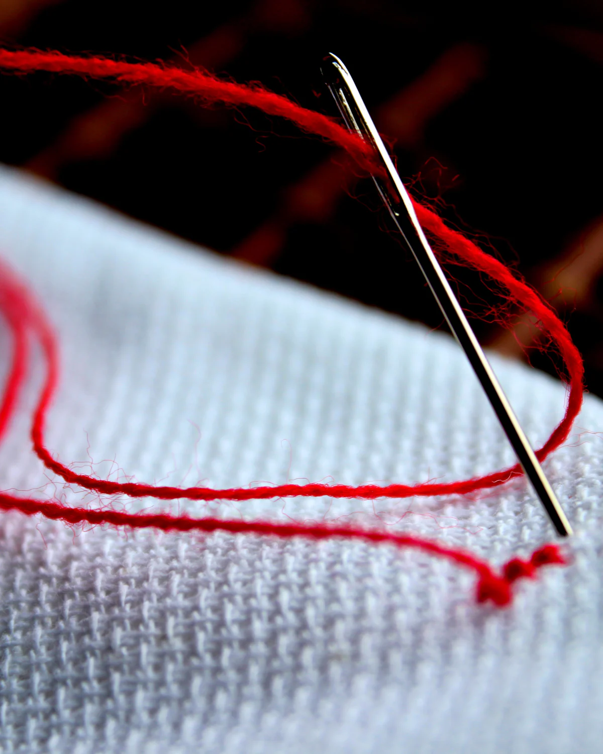 PLACEHOLDER: a needle entering fabric, standing in for a macro of the embroidered edge.